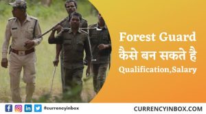 Forest Guard Kaise Bane और Forest Guard Ke Liye Qualification